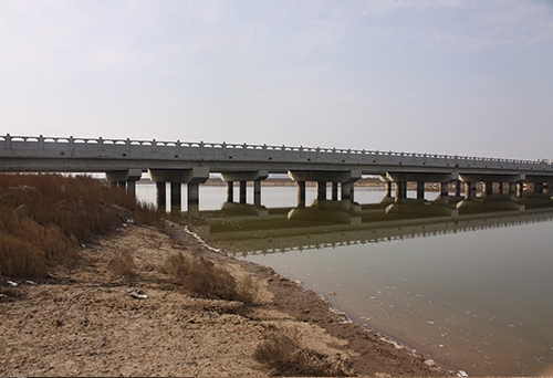 青島張圩港河橋